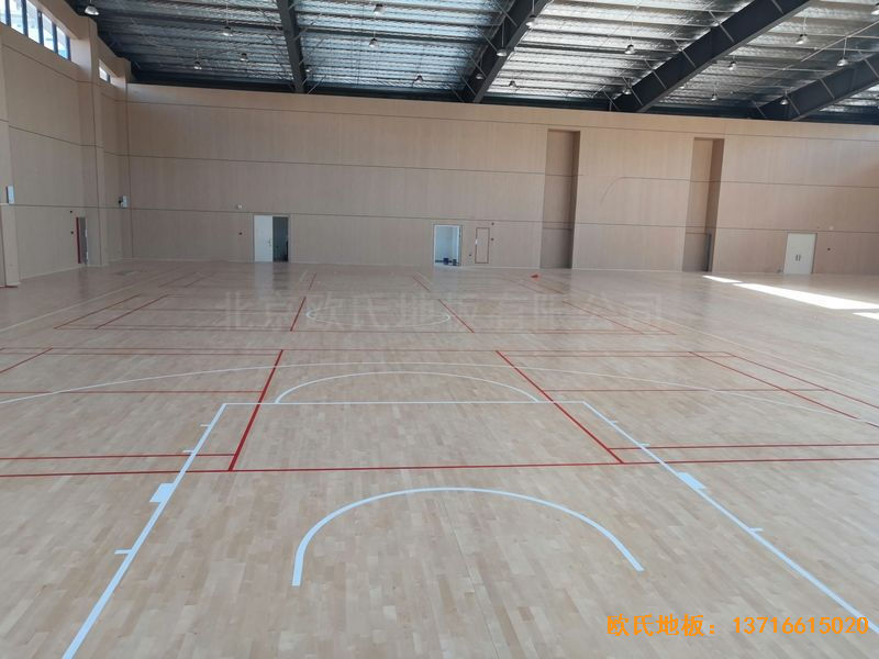 �V����혴���FӢ�ЌW�w��ľ�ذ尲�b����