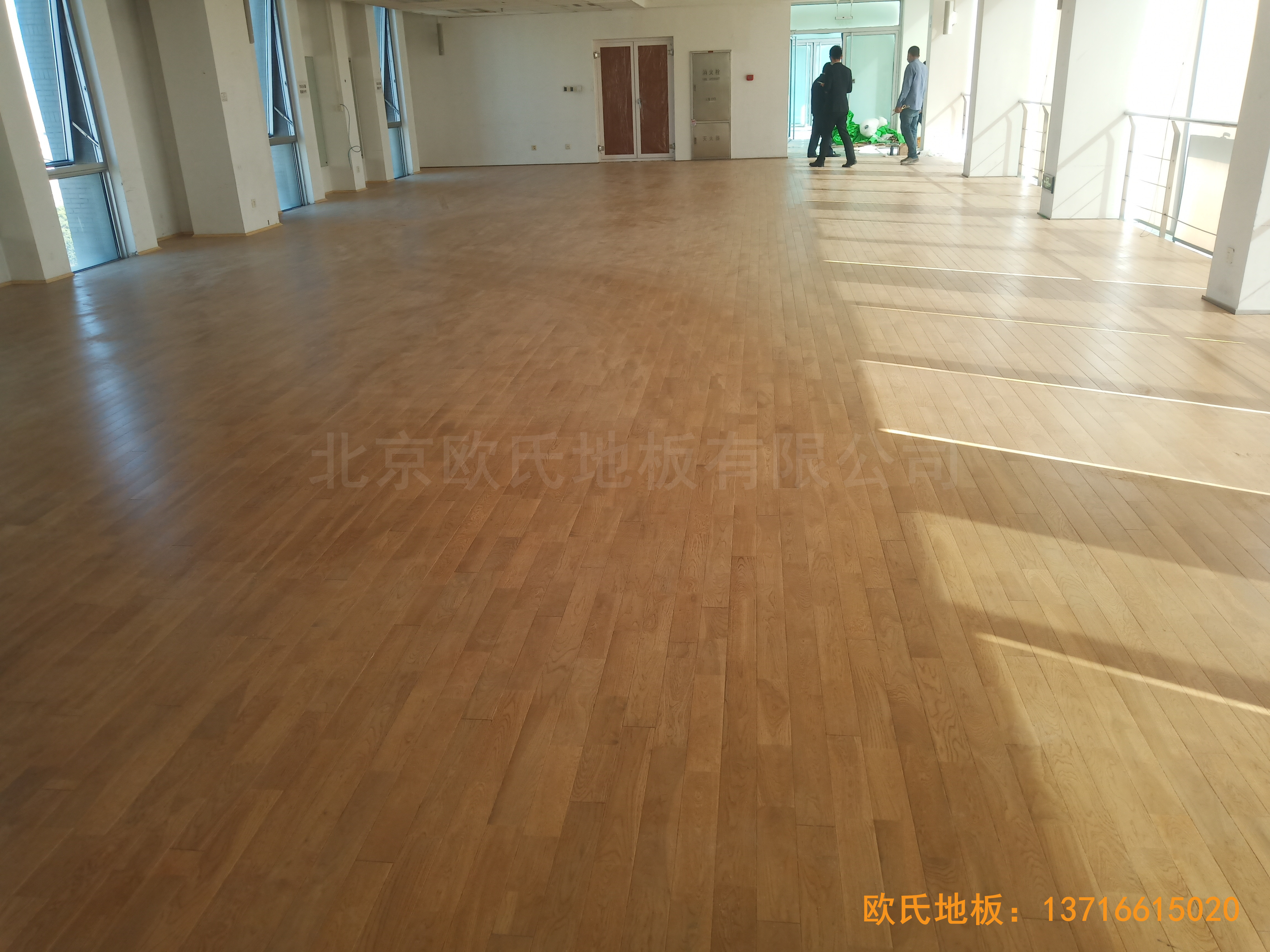 �Ї��ƌWԺ���g�о����\���^�w���ذ���b����5