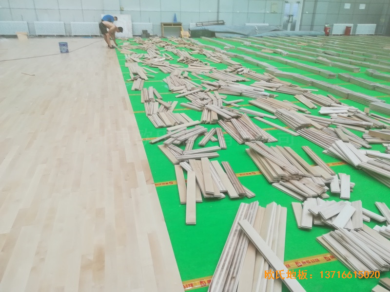 �½�����ľ�R���F���л@���^�w��ľ�ذ尲�b����2