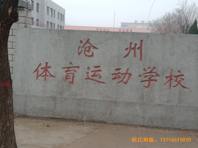 �ӱ������w���W(xu��)���@���^�\��ľ�ذ���O(sh��)����0
