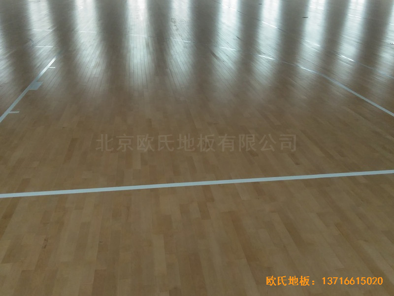 ����������W(xu��)�@���^�w��ľ�ذ尲�b����3