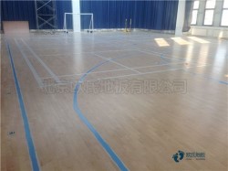 �p�����w����(ch��ng)ľ�ذ���ô���B(y��ng)