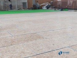 ����(bi��o)�w���@��ľ�ذ�ƽ�׃r