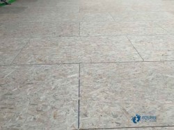 ��(y��u)�ݵ��w���ذ�ُ�Iע�����